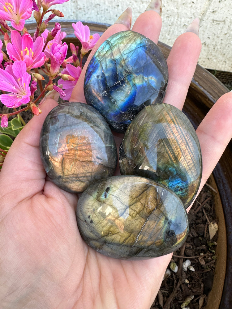 Labradorite Palmstone