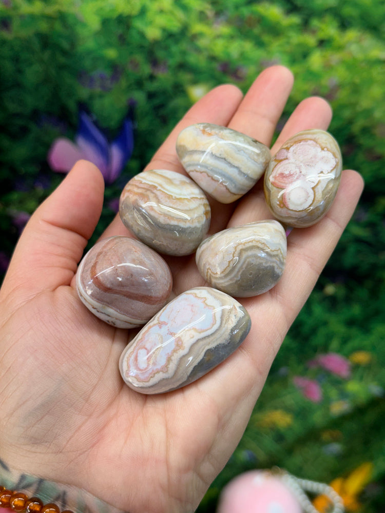 Mexican Lace Agate Small Palmstone