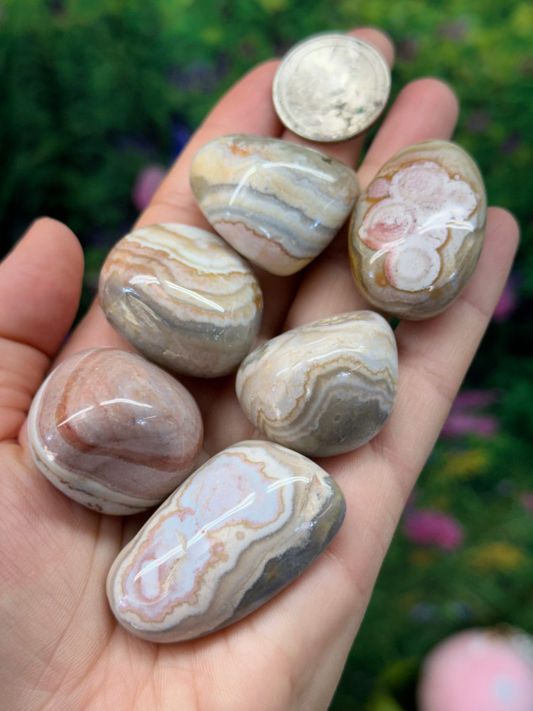 Mexican Lace Agate Small Palmstone