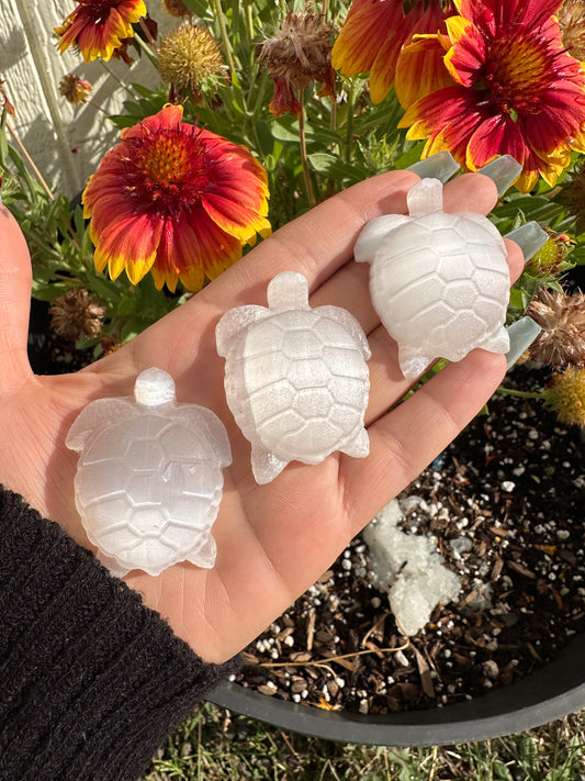 Selenite Turtle