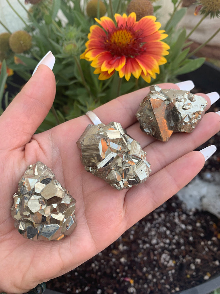 Collectors Pyrite