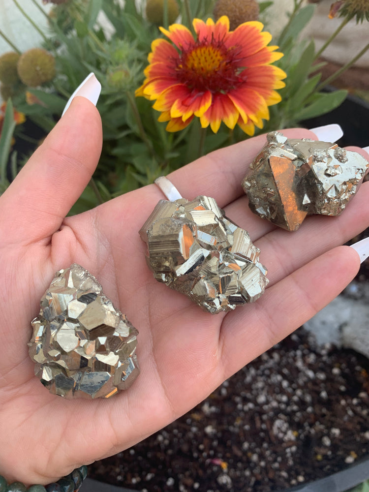 Collectors Pyrite