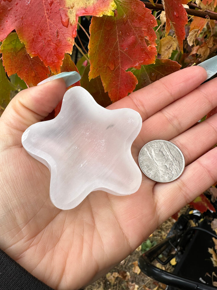 Selenite Star Bowl