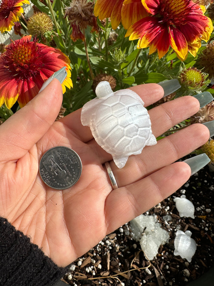 Selenite Turtle