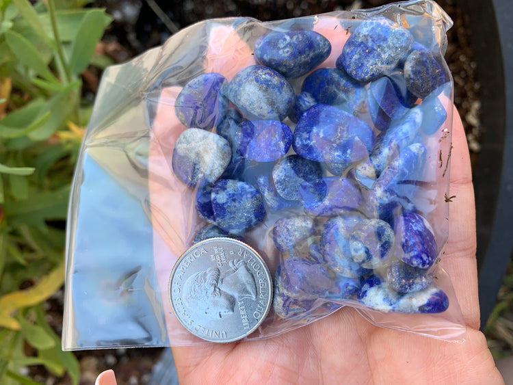 Lapis Lazuli Chips (bigger)