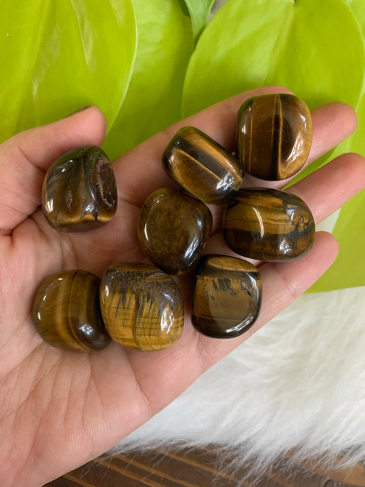 Tigers eye tumble