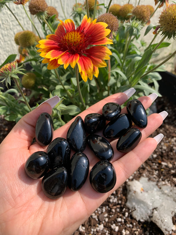 Black Tourmaline - standard size tumble