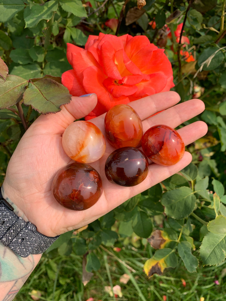 Carnelian mini palmstone