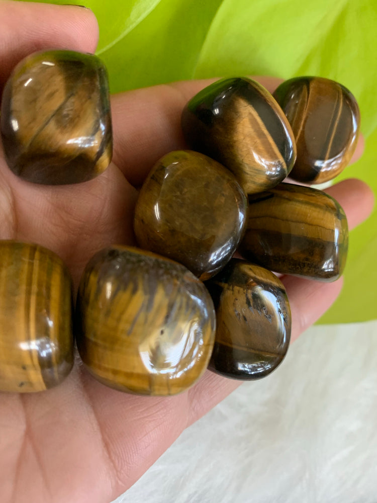 Tigers eye tumble