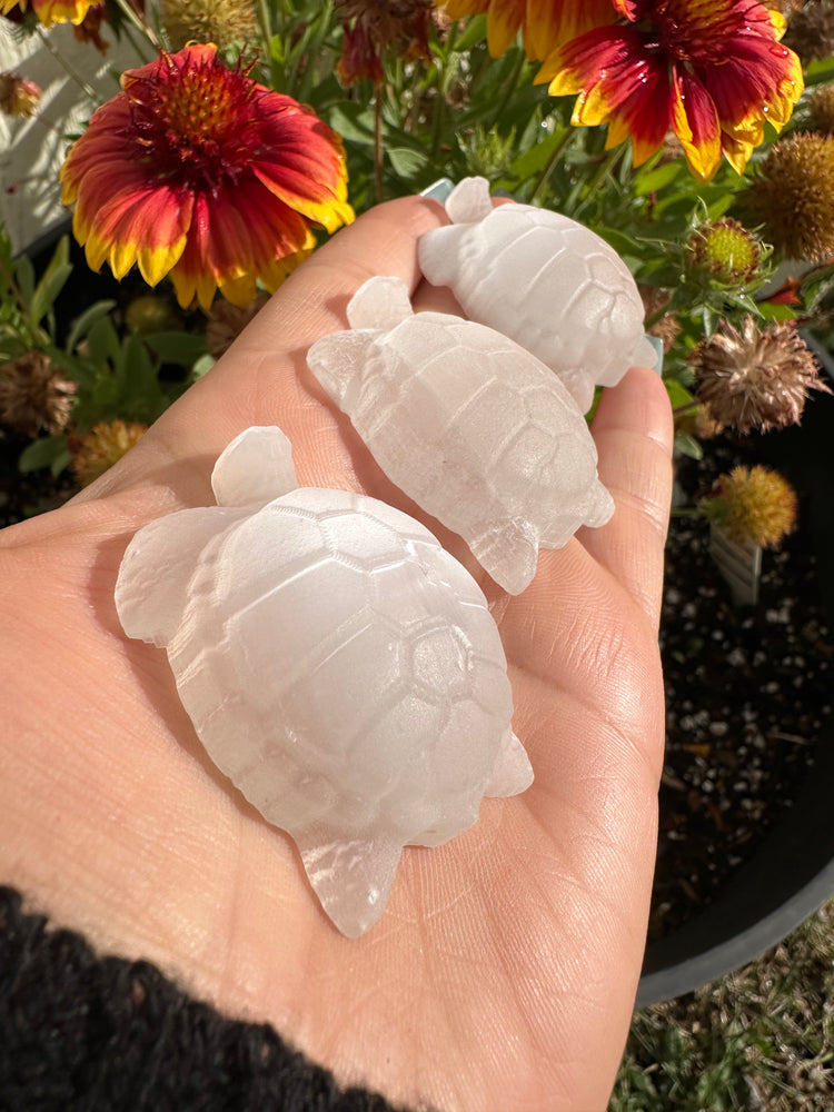 Selenite Turtle