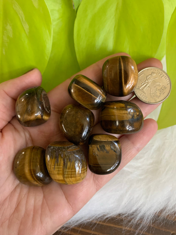 Tigers eye tumble