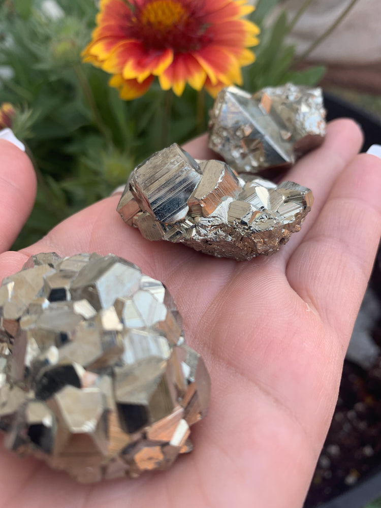 Collectors Pyrite