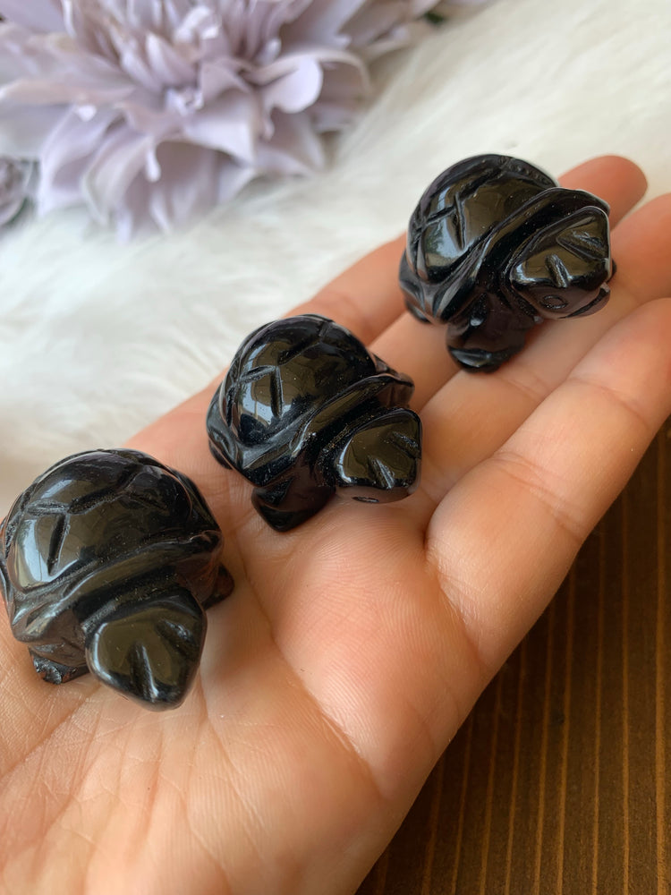 Obsidian Turtle